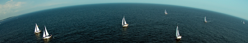 boats